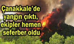 Çanakkale’de yangın çıktı, ekipler hemen seferber oldu