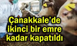 Çanakkale'de ikinci bir emre kadar kapatıldı
