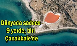Dünyada sadece 9 yerde, biri Çanakkale'de