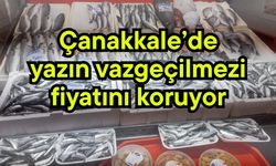 Çanakkale’de yazın vazgeçilmezi fiyatını koruyor