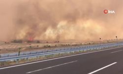 Şarköy'deki orman yangını ile ilgili son gelişme (Video)