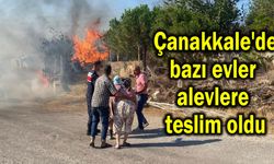 Çanakkale'de evler alevlere teslim oldu (Video)