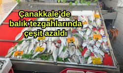Çanakkale’de balık tezgahlarında çeşit azaldı