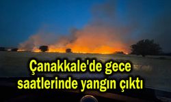 Çanakkale'de gece saatlerinde yangın çıktı (Video)