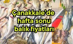 Çanakkale’de hafta sonu balık fiyatları