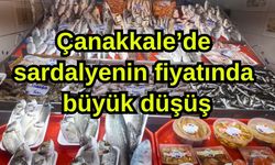 Çanakkale’de sardalyenin fiyatında büyük düşüş