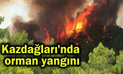 Kazdağları'nda orman yangını