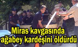 Miras kavgasında ağabey, kardeşine kıydı (Video)