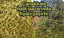 Çanakkale halk pazarında fiyatı şaşırttı