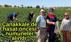 Çanakkale'de hasat öncesi numuneler alındı