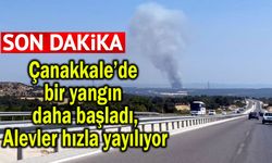 Çanakkale’de bir yangın daha başladı, alevler hızla yayılıyor