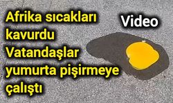Afrika sıcakları kavurdu: Vatandaşlar yumurta pişirmeye çalıştı