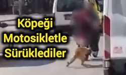 Köpeği motosikletle sürüklediler