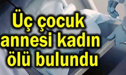 Üç çocuk annesi kadın ölü bulundu