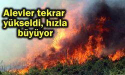 Alevler tekrar yükseldi, hızla büyüyor (Video)