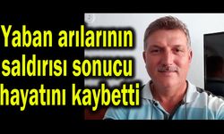 Yaban arılarının saldırısı sonucu hayatını kaybetti