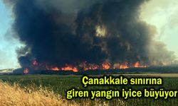 Çanakkale sınırına giren yangın iyice büyüyor (Tıkla izle)