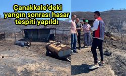 Çanakkale’deki yangın sonrası hasar tespiti yapıldı