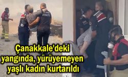 Çanakkale'deki yangında yürüyemeyen yaşlı kadın kurtarıldı (Video)