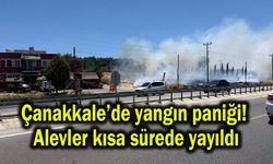 Çanakkale’de yangın paniği! Alevler kısa sürede yayıldı (Video)