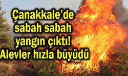 Çanakkale’de sabah sabah yangın çıktı! Alevler hızla büyüdü