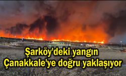 Şarköy'deki yangın Çanakkale'ye doğru yaklaşıyor