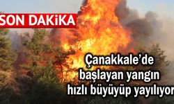 Çanakkale’de başlayan yangın hızlı büyüyüp yayılıyor