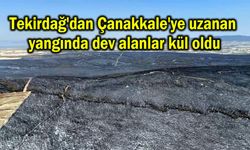 Tekirdağ'dan Çanakkale'ye uzanan yangında dev alanlar kül oldu (Video)