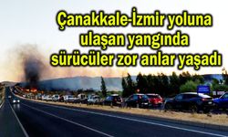 Çanakkale-İzmir yoluna ulaşan yangında sürücüler zor anlar yaşadı (Video)