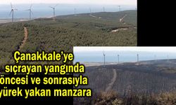 Çanakkale sıçrayan yangında yürek yakan manzara (Tıkla izle)