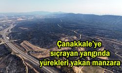 Çanakkale’ye sıçrayan yangında yürekleri yakan manzara (Tıkla izle)