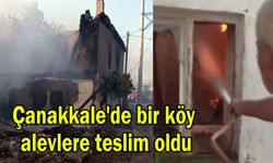 Çanakkale'de bir köy alevlere teslim oldu (Video)
