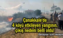 Çanakkale'de 4 köyü etkileyen yangının, çıkış nedeni belli oldu! (Video)