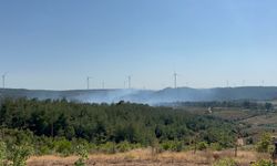 Çanakkale’deki orman yangını kontrol altında