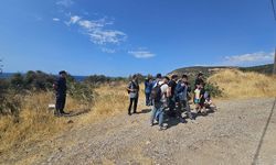 Çanakkale'de 19 kaçak göçmen yakalandı