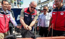 Çanakkale'de balıkçılar 'Vira bismillah' diyerek denize açıldı