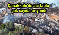 Çanakkale'de çok sayıda ev yandı (Video)