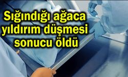 Sığındığı ağaca yıldırım düşmesi sonucu öldü