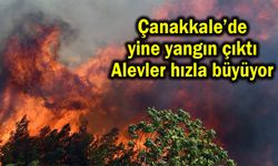 Çanakkale'de yine yangın çıktı! Alevler hızla büyüyor