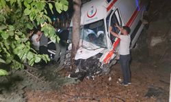 Hasta taşıyan ambulans bahçeye uçtu