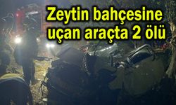 Zeytin bahçesine uçan araçta 2 ölü
