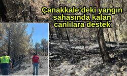 Çanakkale’deki yangın sahasında kalan canlılara destek