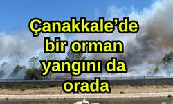 Çanakkale’de bir orman yangını da orada
