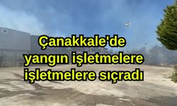 Çanakkale'de yangın işletmelere işletmelere sıçradı (Video)