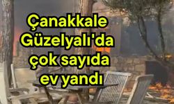 Çanakkale Güzelyalı'da çok sayıda ev yandı
