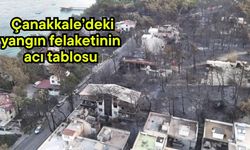 Çanakkale’deki yangın felaketinin acı tablosu (Video)