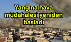Yangına hava müdahalesi yeniden başladı