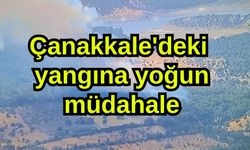 Çanakkale'deki yangına yoğun müdahale