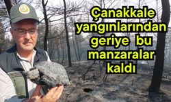 Çanakkale yangınlarından geriye bu manzaralar kaldı