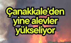 Çanakkale'den yine alevler yükseliyor
